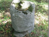 czystohorb_066