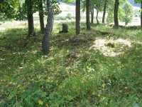 czystohorb_077