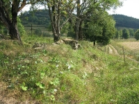czystohorb_104