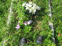 foto_1374