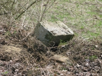 Surowica_175.jpg