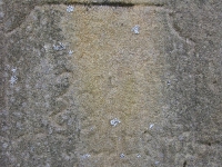 Surowica_110.jpg