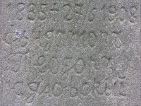 Surowica_124.jpg