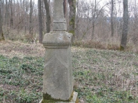 Surowica_125.jpg