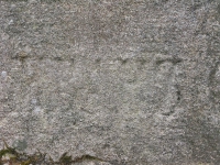 Surowica_132.jpg