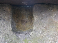 Surowica_149.jpg