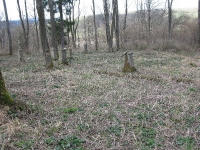 Surowica_161.jpg