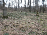 Surowica_162.jpg