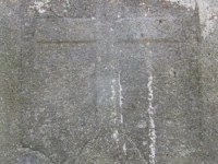 Surowica_038.jpg