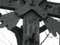 Surowica_042.jpg