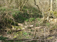 Surowica_068.jpg