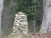Surowica_180.jpg