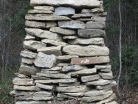 Surowica_181.jpg