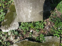 Drohojiw_066.jpg