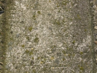 Pozdiacz_056.jpg
