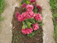 Pozdiacz_211.jpg