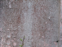 Kulno (291).jpg