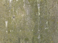 Kurylivka (104).jpg
