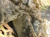 Kurylivka (114).jpg