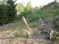 Kurylivka (39).jpg