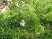 Kurylivka (13).jpg
