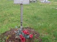 Pyskorovychi (86).jpg