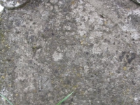 pyskorovychi_102.jpg