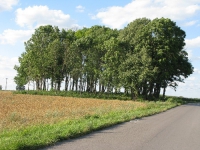 cholmshchyna_2941