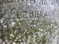 zahoroda (36)