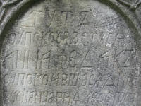 terstiana (21)