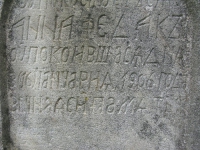terstiana (22)