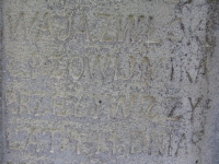 terstiana (31)