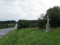 terstiana (118)