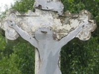 terstiana (120)