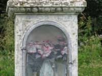 terstiana (123)