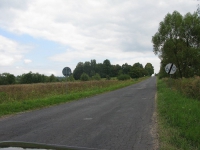 vyslik_829