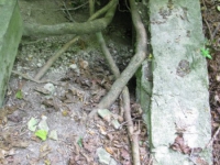 turovets (11)