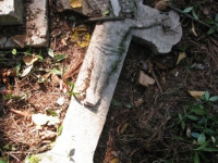 sukha_vola (117)