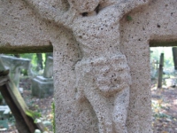 sukha_vola (60)