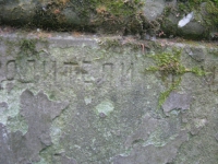 matche (176)