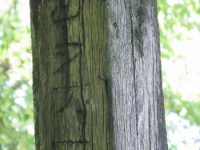 matche (193)