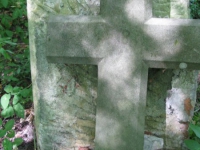 matche (218)