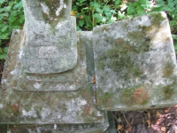 matche (225)