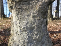 litovyshchi (22)