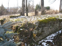 litovyshchi (66)