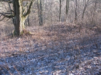bolkhivka_10