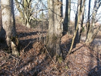 bolkhivka_16