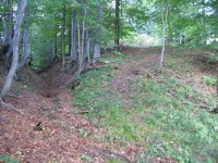 wolawyzna_01