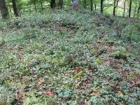wolawyzna_17