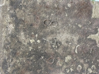 Bortne (4)